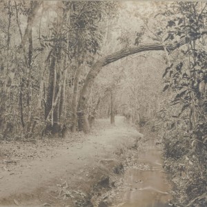 Cambuquira, Minas Gerais Cidades